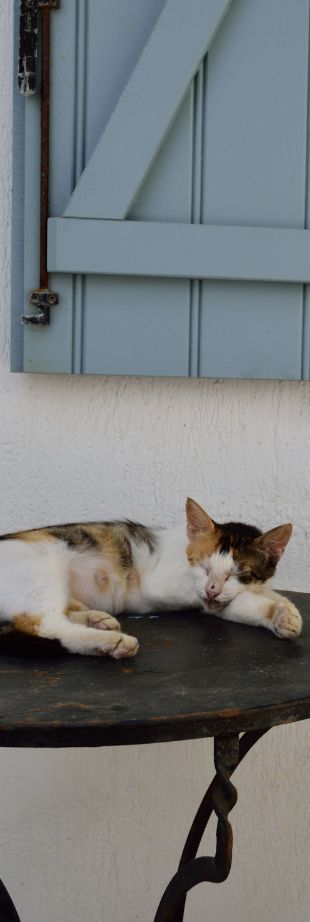 skopelos magic (6)